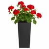 Donica Porto Riflo Czarna H36X19X19 Cm