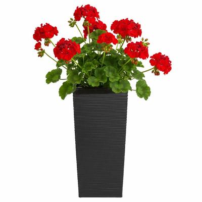Donica Porto Riflo Czarna H36X19X19 Cm