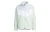 adidas Neo Jackets Unisex Green Stand Collar Moderate Other HY9653