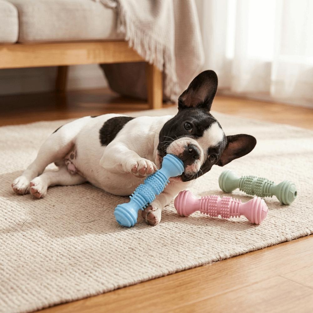 Bite Tough Dumbbell Dog Chew Toy Dumbbell Shaped Puppy Teeth Cleaning Toy  Oral Care