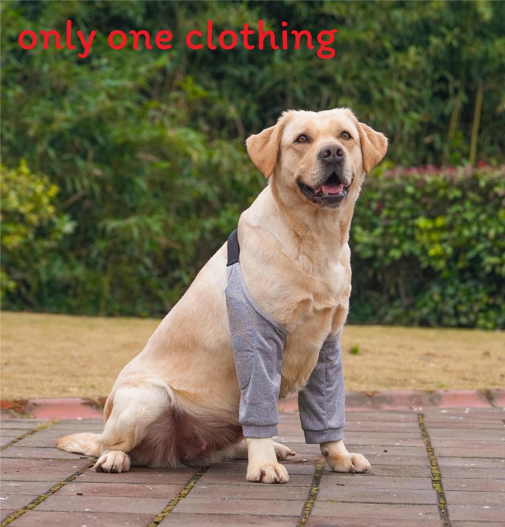 

Pet Dog Leg Sleeve With Durable Cotton For Knee And Leg Protection In All Seasons Gray,XL