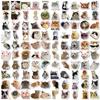 DELUXEFOX Cute Cat Sticker Set (100 Pieces) Waterproof Sticker Carry Case Suitcase Sticker Car Bike Sticker Set Doodle Sticker Seal Set Versatile