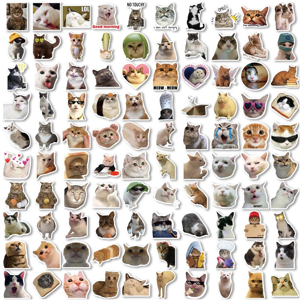 DELUXEFOX Cute Cat Sticker Set (100 Pieces) Waterproof Sticker Carry Case Suitcase Sticker Car Bike Sticker Set Doodle Sticker Seal Set Versatile