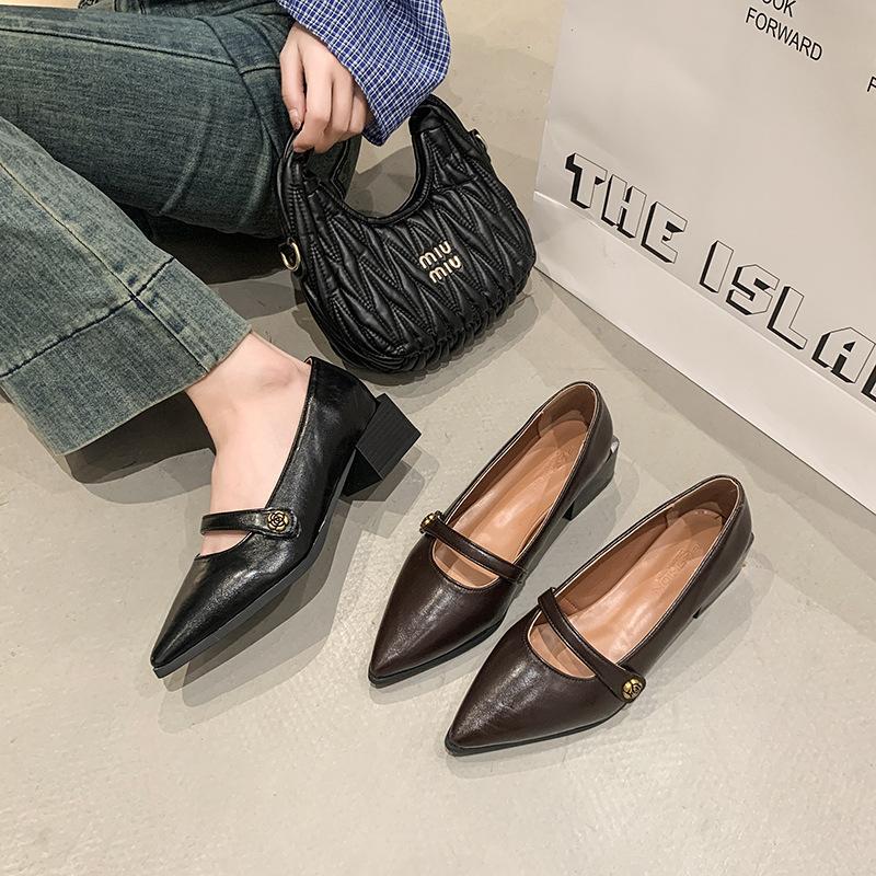 Niche Commuter Thick Heel Brown Pointed Mary Jane Single Shoes Women's Shoes 2025 Spring Summer Evening French Commuter Leather Shoes