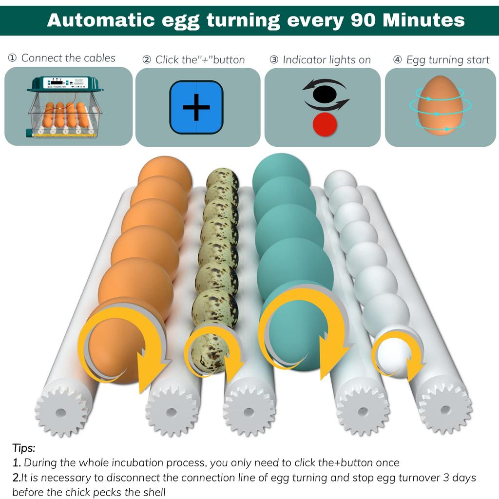 16 Eggs Incubators, Humidity Monitoring, Automatic Turn Eggs, Home Incubator For Hatching Eggs, Quail Eggs Incubators With Egg Candler