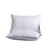 Hilton Hotel 48x74cm Pillow Pair with Pillowcases - High & Low Pillow Core, Non-Collapsing