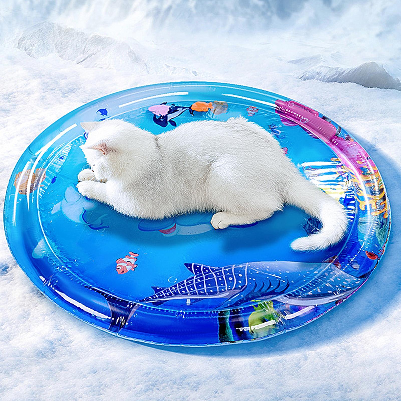

100cm Water Sensory Play Mat Thickened Inflatable Water Mat For Cat And Dog Pet Playmat With Sea Ocean Theme Sensory Water Pad CHINA