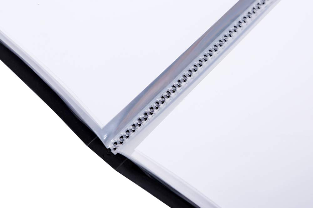 Green Week B2 Poster Holds 20 Posters Inner Paper and Storage File, (Includes Case) GWB2F-20