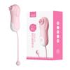 ten frequency modulation – pink