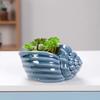 Cute Small Conch Succulent Plant Pots Conch Creative Ceramic Mini Mini Pots Desktop Shell Succulent Ceramic Planter