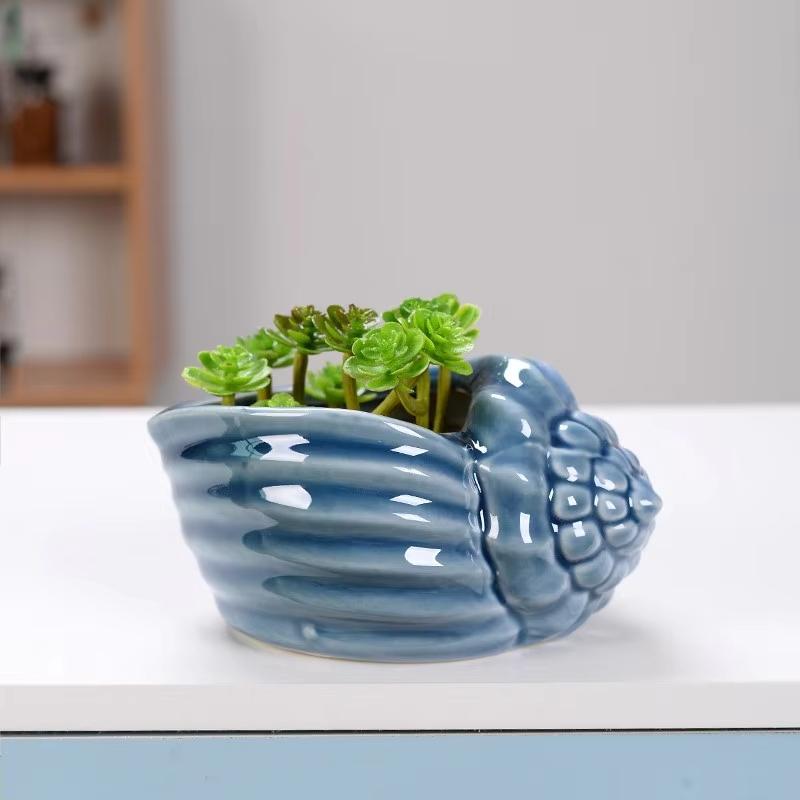 Cute Small Conch Succulent Plant Pots Conch Creative Ceramic Mini Mini Pots Desktop Shell Succulent Ceramic Planter