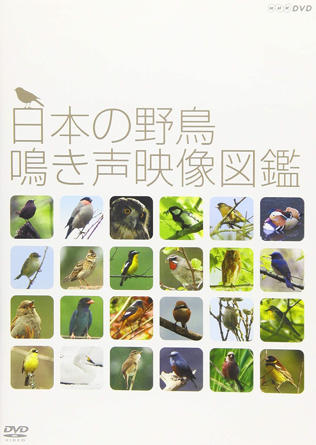 

DVD DVD A video guide to wild bird calls NHK Japan Movies DVD Used