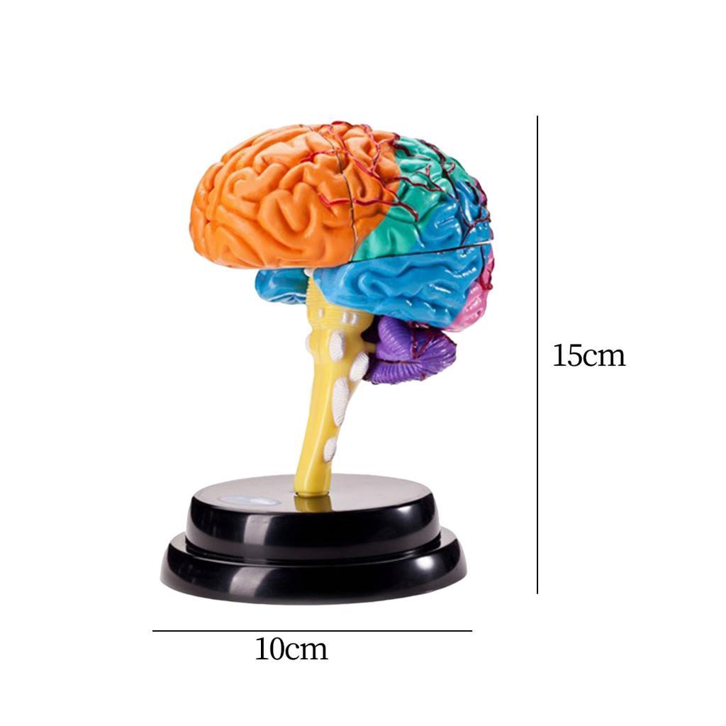 Model Disassembled Educational Toy for Teaching