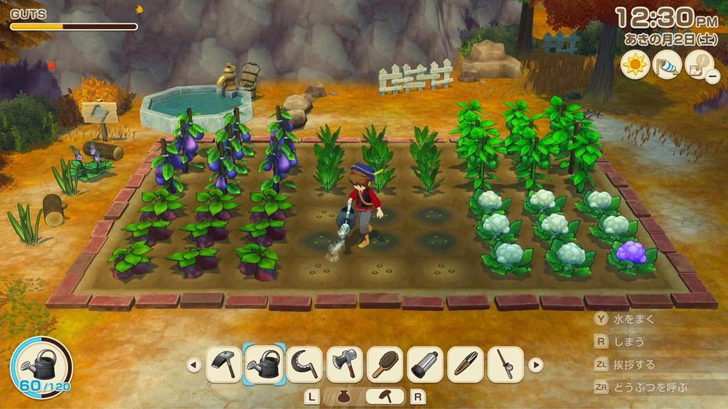 Harvest Moon Grand Bazaar of the Wind Switch Let's! -