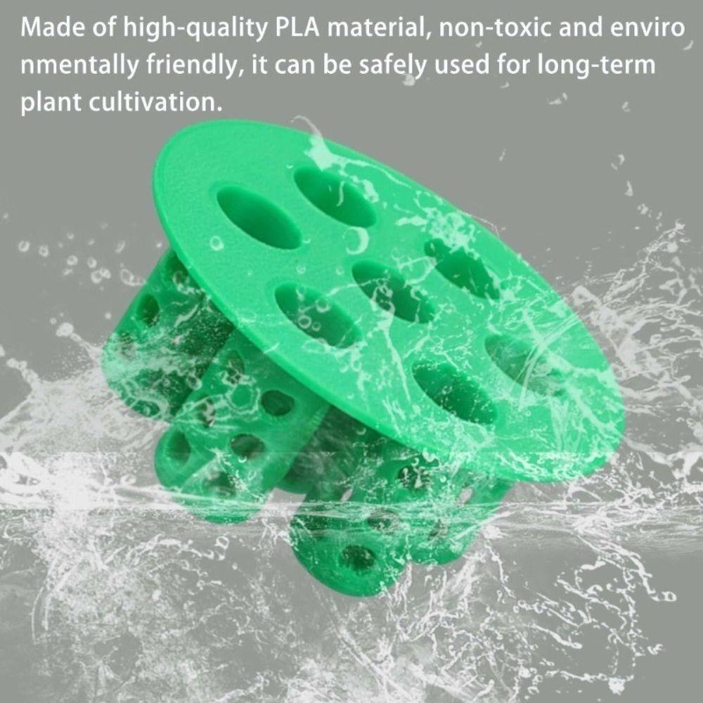 No Soil Seed Germination Tray Plant Growing Tool  for Flowering Plants Compact Green Tray