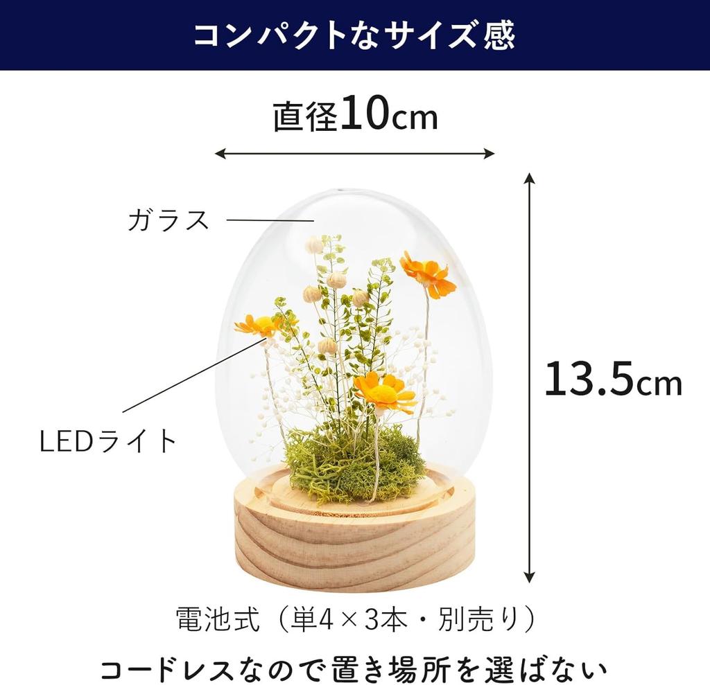 PD COLLECTION Preserved Flowers - Daisy (Japanese-made) with LED Light - Flower Gift, Present, Gift for Celebrations, Birthdays, Anniversaries,