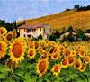 RUOPOTY Picture By Numbers Sunflower Flower Wall Art Unique Gift HandPainted Paint By Number Butterfly Decoration