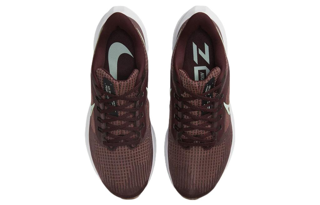 Nike Air Zoom Pegasus 39 'Canyon Rust Burgundy Crush White Mint Foam' Women's DH4072-600