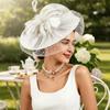 Pălărie Fascinator Plasă Moale cu Pene Accesorii Păr Petrecere Bandă de Păr Mireasă Pălărie Derby Retro Doamne