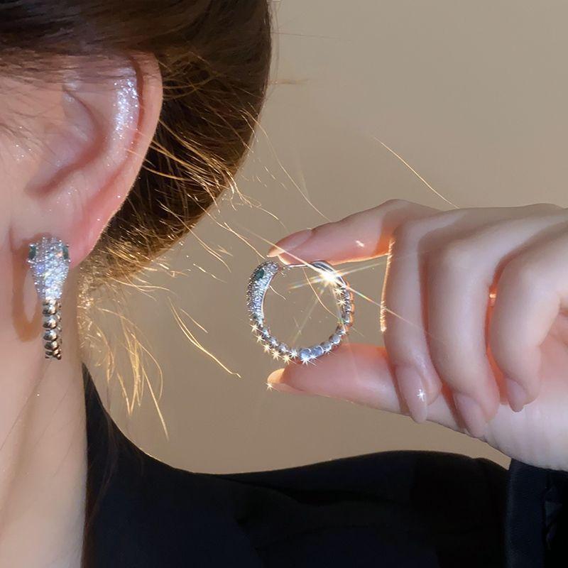 Silver needle zircon curved snake winding stud earrings niche design earrings earrings