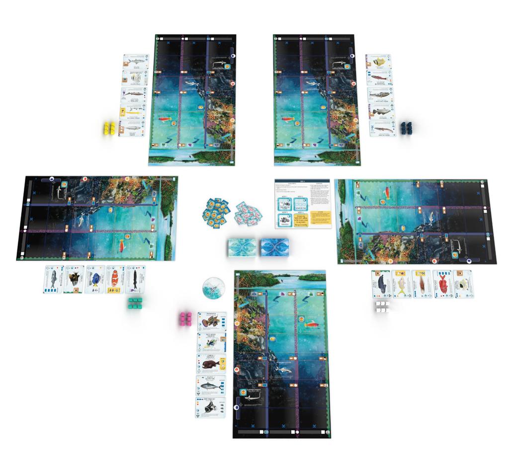 Finspan A Wingspan Game - [Board Game, 1-5 Players]