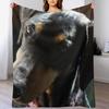 Doberman Tilt Throw Blanket Ultra Plush Cozy Blanket for Napping Sleeping