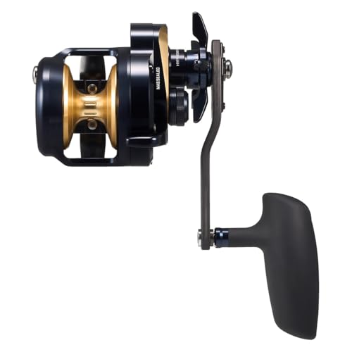 DAIWA Salt Bait Reel 25SALTIGA 10H-SJ