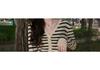 Women's V-Neck Striped Knit Cardigan, Long Sleeve, Lightweight, for Spring/Autumn 2026