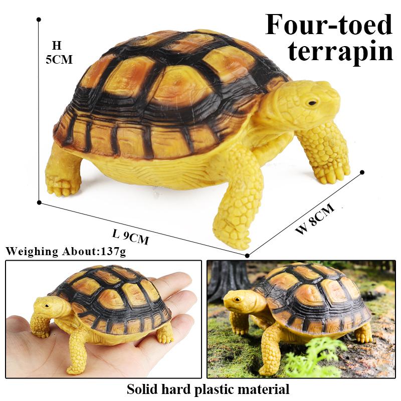 Oenux Sea Life Animals Model Leatherback Tortoise Turtle Growth Cycle Ocean Figurines Action Figures PVC Collection Kid Toy Gift