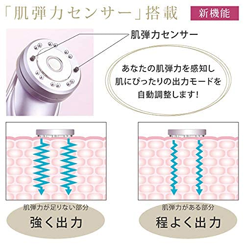Ebisu Cosmetics (EBiS) Ultrasonic Facial Beauty Device Twin Elenaizer Premium Home Beauty Set