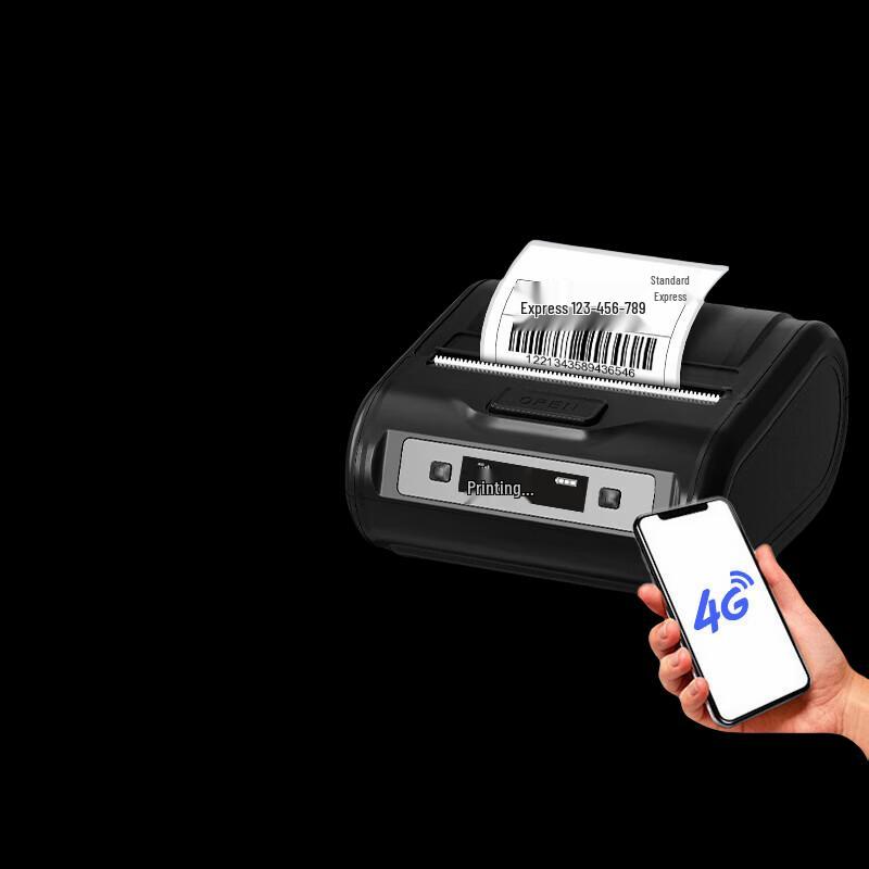 Qirui QR-365W Portable Bluetooth Express Printer