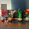 Kolekcja Botaniczna Zestawy Klocków Budowlanych 10368 10369 10344 10343 Kompatybilne Z Cząstkami Legoed Odpowiednie Na Prezenty Świąteczne