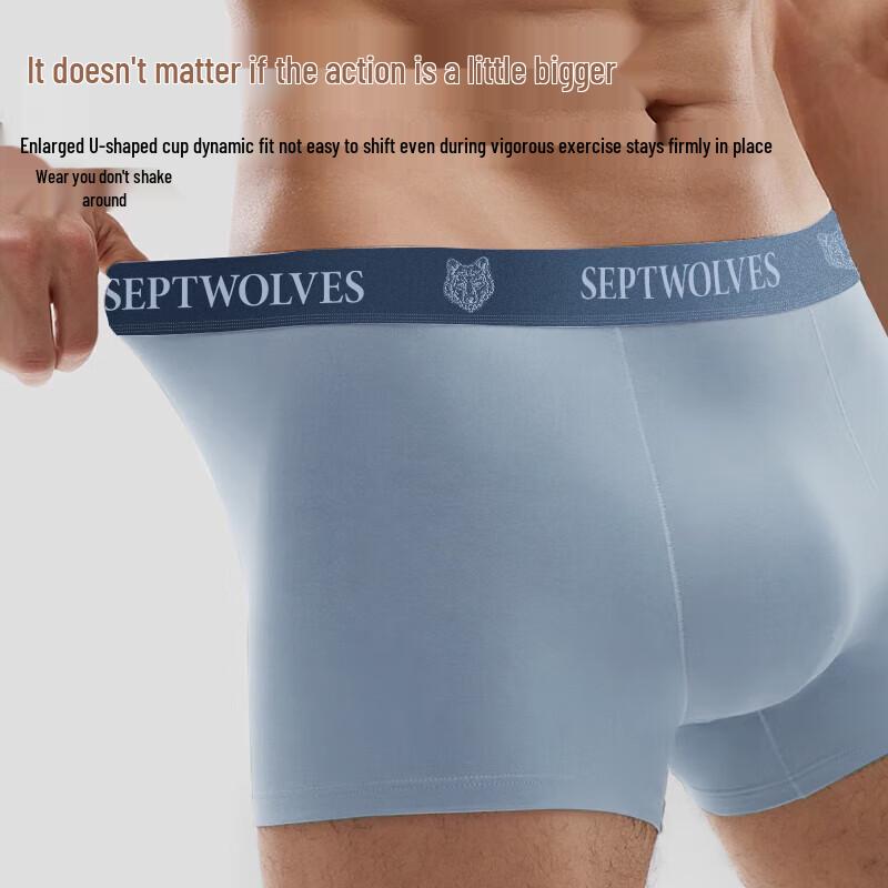 Seven Wolves Men's Mulberry Silk Antibacterial Boxer Briefs