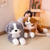 50/70/100cm Simulation Border Dog Plush Pillow Toy Cartoon Stuffed Animals Puppy Plushies Dog Cushion Cute Soft Kids Girls Toys