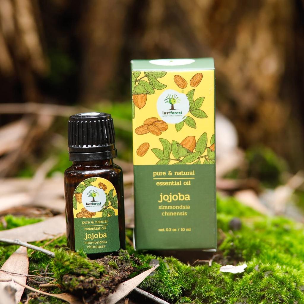 Last Forest Jojoba Essential Oil 10ml –for Skin Care, Moisturizing, Face and Body Use, Aromatherapy, Hydrating, Plant-Based for Daily Use