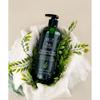Thinkco Tc 7 Kelp Seaweed Herbal Scalp Clinic Shampoo 500ml