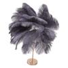 Ostrich Feather Table Lamp Rechargeable Modern Romantic Decoration Lamp Bedroom Bedside Lamp for