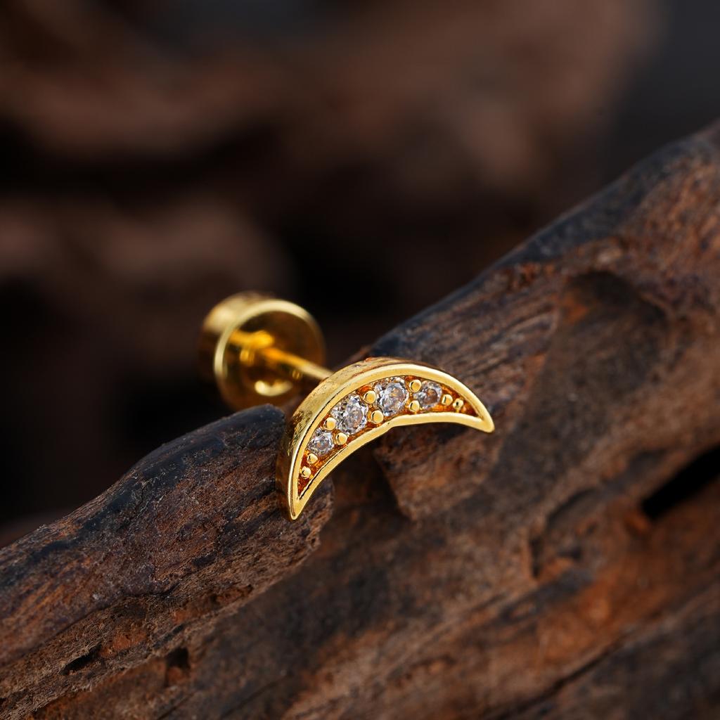 Women Girls' Hypoallergenic Stainless Steel Earrings Butterfly Moon-Style Ear Studs Screw Back Helix Cartilage Tragus Lobe