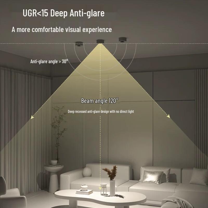 Oeny 12W LED Surface Mounted Downlight