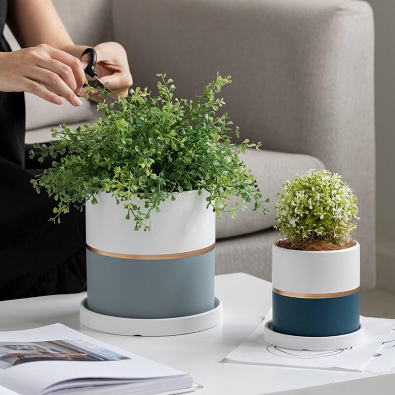 Gold-Rimmed Ceramic Flower Pot