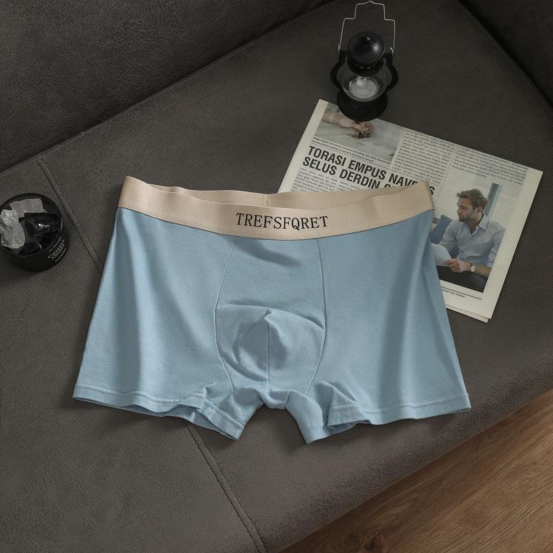 Men's Cotton Underwear Letters Simple Breathable Panties Knickers Men's Boxer Briefs Boxer Briefs Underpants
