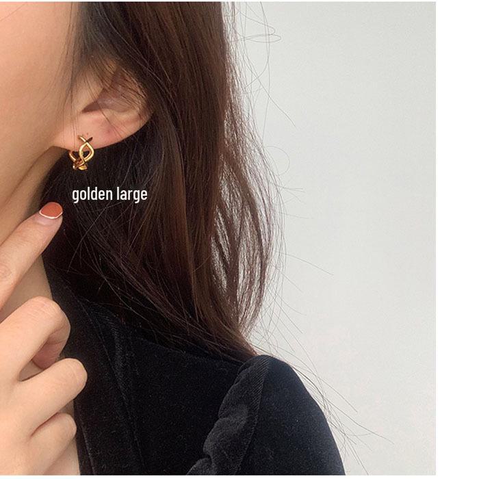 S925 Silver Needle Women's Earrings - 2022 Trend, Simple & Elegant Design