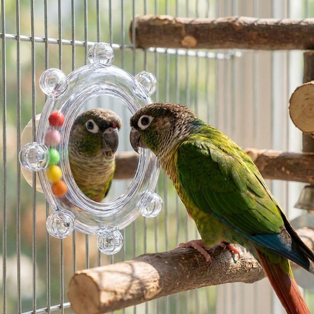 Wear-Resisting Bird Mirror Perch Spinning Puzzle Bird Flying Saucers Cage Accessories