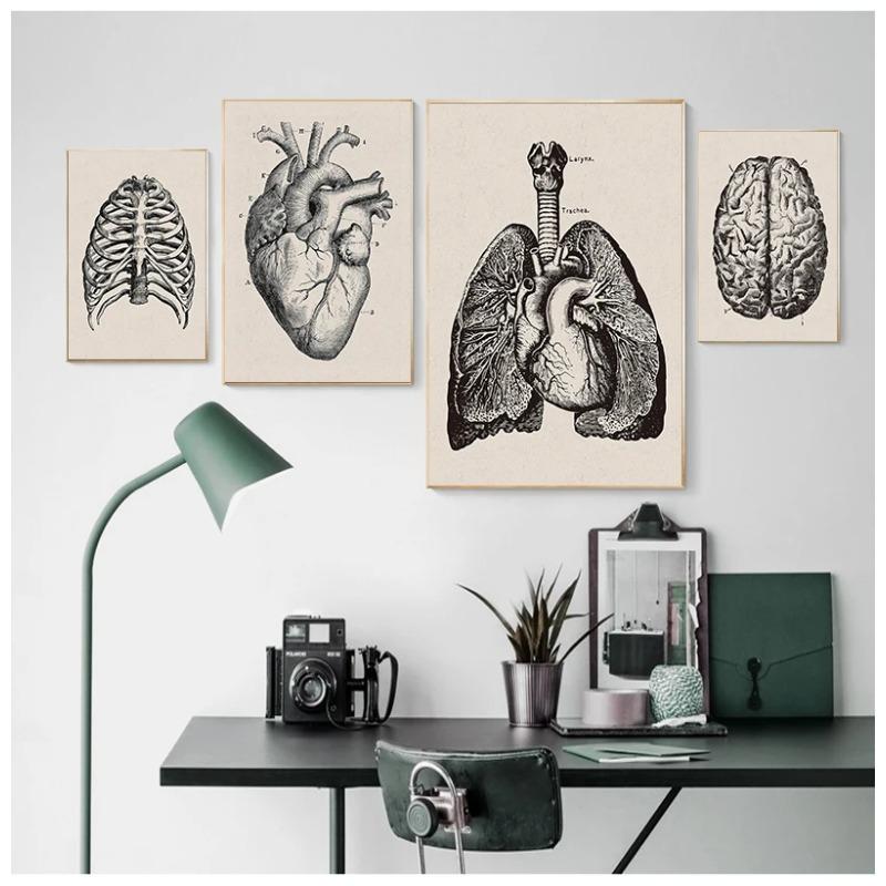 Human Anatomy Wall Art Hospital Vintage Posters and Prints Doctor Office Decoration Skeleton Anatomical Skull Canvas Painting