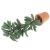 1/12 Dollhouse Miniature Pot Green Leafed Plant Garden Decoration Toy