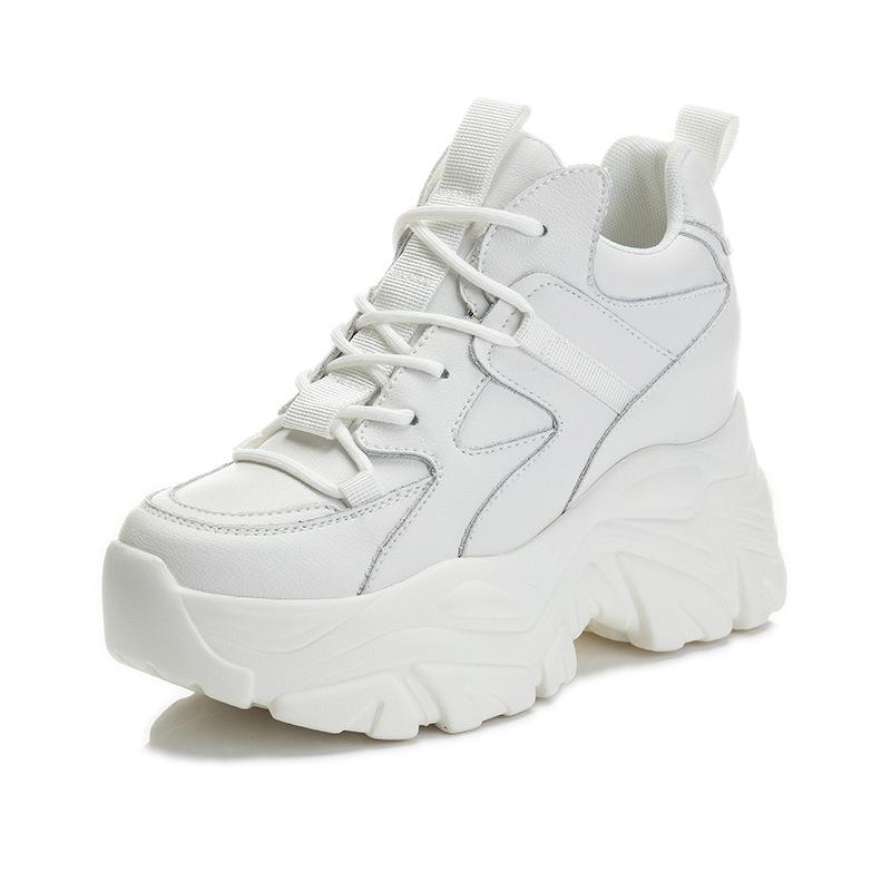 Inner Height Increase Thick Sole Spring and Autumn New Dad Shoes Casual Single Shoes Small Man