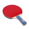 Double Fish 1-Star Beginner Table Tennis Racket