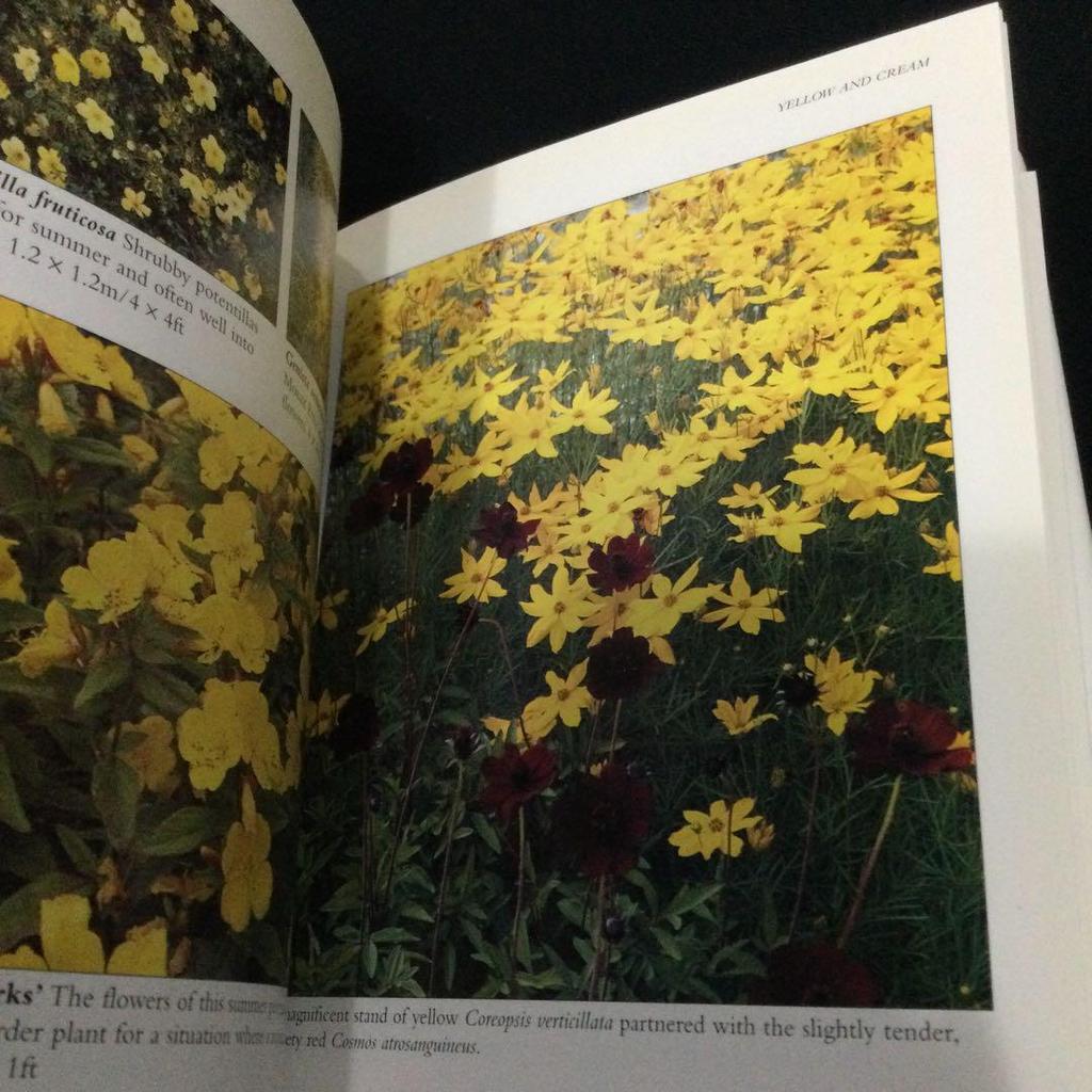 [USED] Gardening Plants Flowers Books Gardening Flower Picture Book Garden English