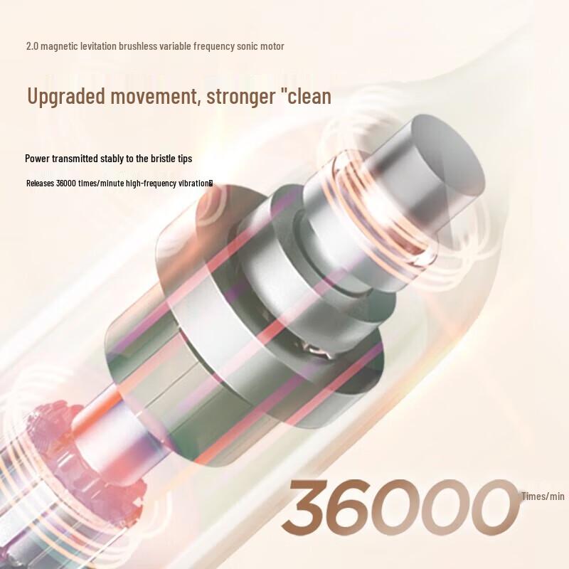 Midea S5 Smart Sonic Electric Toothbrush CN plug (adapter included)