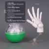 Mini 1/2 Scale Gashapon Palm Model: Super Movable Finger Joints - Left & Right Hands for Drawing & Sketching
